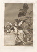 Sleep of Reason verified source artwork