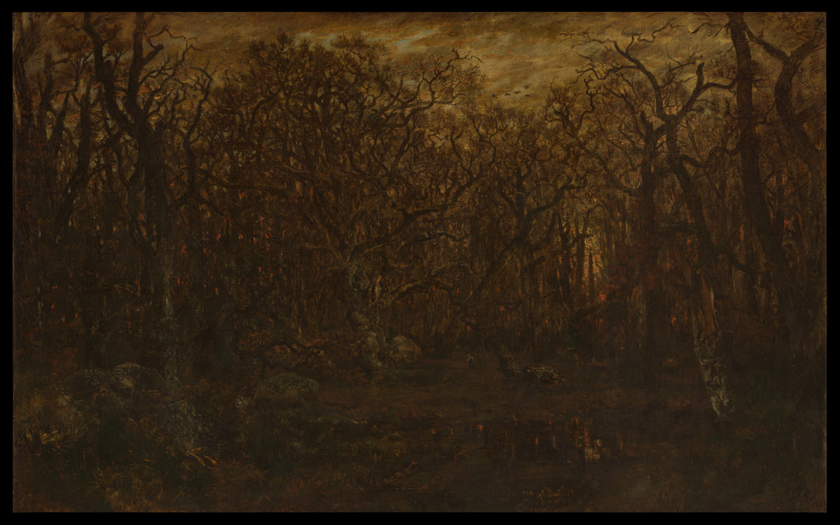 Forest verified source artwork